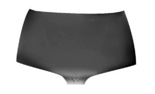 Capot moteur Renault Megane