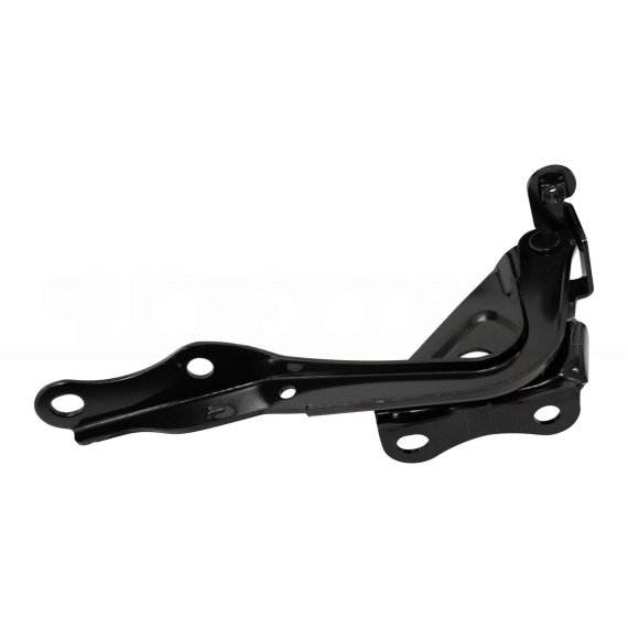 Charnière droite du capot Toyota Rav 4